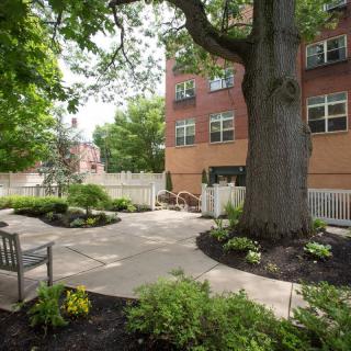 A serene outdoor garden area featuring a large tree, benches, and a pathway next to a building.