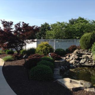 A serene garden scene featuring lush greenery, a tranquil water feature, and a clear blue sky.