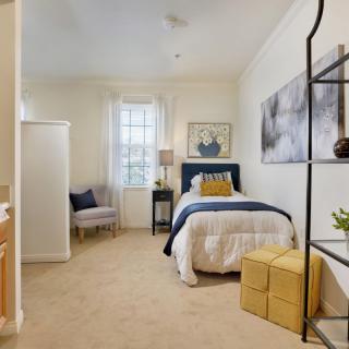 A cozy and modern bedroom with a single bed, soft furnishings, and tasteful decor.