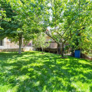 A sunny backyard with lush green grass and trees, enclosed by a fence.