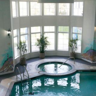 A luxurious indoor pool and hot tub area with large windows and decorative plants.