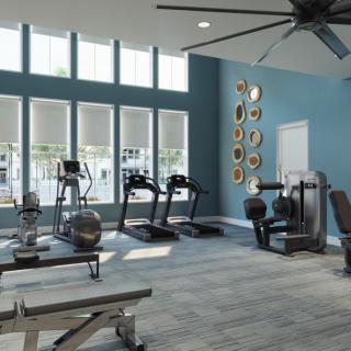 A modern gym with various exercise equipment and bright natural lighting.