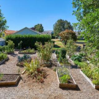 A well-maintained garden with raised vegetable beds and surrounding greenery.