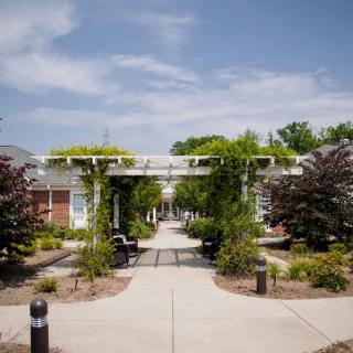 A picturesque garden pathway with lush greenery and a pergola under a clear blue sky.
