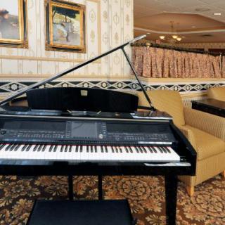 A grand piano in a well-decorated living room.