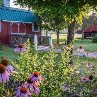 A serene view of a garden with blooming flowers in front of a quaint cabin, surrounded by lush greenery.
