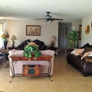 A cozy living room with sofas, lamps, a coffee table, and indoor plants.