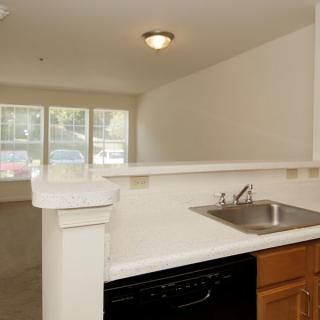 A small apartment kitchen with a sink, countertop, and open view into the living area.