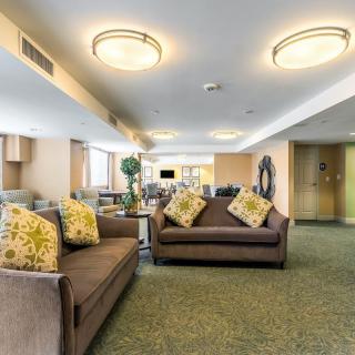A modern living room with comfortable sofas and elegant lighting.