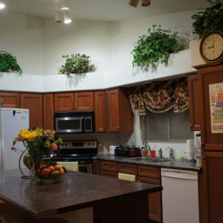 A cozy kitchen interior with wooden cabinets, appliances, and decorative plants.