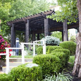 A beautifully landscaped garden featuring a wooden pergola surrounded by lush greenery and manicured hedges.