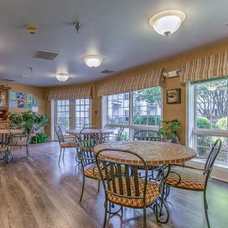 A bright and inviting dining area with several tables and chairs, large windows allowing natural light, and greenery adding a touch of nature.