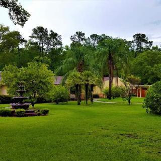 A lush garden with a green lawn, trees, and a house in the background.