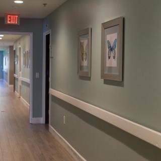 A quiet hospital hallway with artwork on the walls and an emergency exit sign.