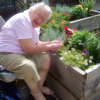 An elderly woman enjoying gardening in a raised flower bed outside.