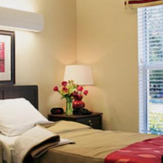 A cozy bedroom with a neatly made bed, a bedside lamp, and a vase of flowers on the nightstand.