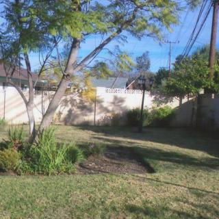 A sunny backyard with a tree, grass, and a white fence.