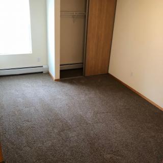 An empty room with carpet flooring, a closet, and a window.