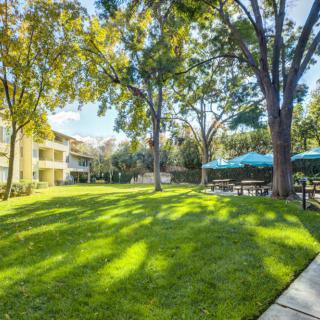 A sunny park with lush green lawn, trees providing shade, and seating areas with umbrellas.