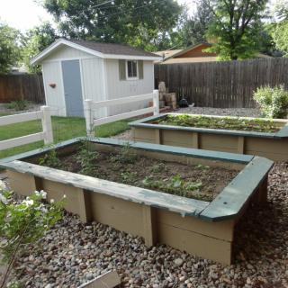 A backyard featuring two raised garden beds, suitable for planting vegetables and other plants.