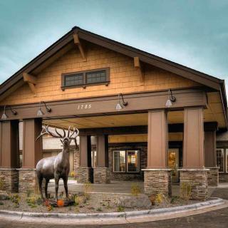 A rustic building entrance featuring a large deer statue.
