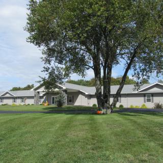 A suburban house with a large tree and well-maintained lawn.