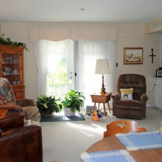 A cozy living room with sofas, a chair, a lamp, and plants by the window.