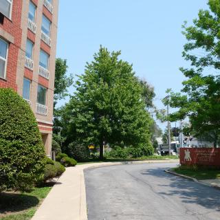 A quiet urban street lined with trees and a brick building on a sunny day.