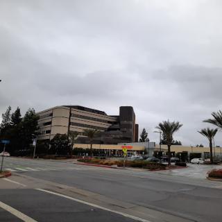 A view of a modern building amidst cloudy skies, featuring palm trees in an urban setting.