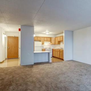 An empty apartment featuring an open floor plan with a living area and kitchen, complete with carpeted flooring and wooden cabinets.