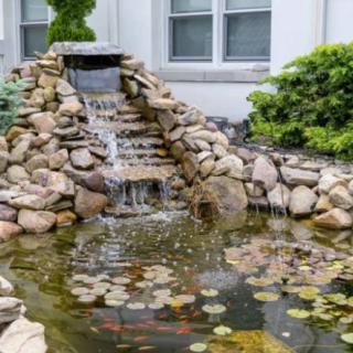 A garden pond with a small waterfall surrounded by rocks and greenery.