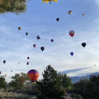 A vibrant display of hot air balloons ascending into the sky during a festival.