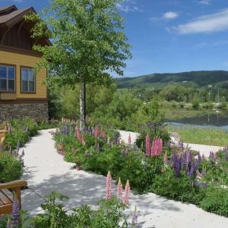 A serene garden pathway adorned with colorful flowers, leading to a house by the lake under a clear sky.