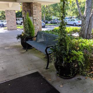 A peaceful outdoor setting featuring a bench surrounded by lush plants.