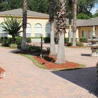 A picturesque outdoor setting featuring palm trees, a paved pathway, and a charming fountain.