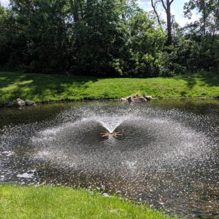 A scenic view of a pond with a central fountain surrounded by lush greenery and trees.