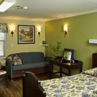 A cozy bedroom with a green accent wall, featuring a bed, sofa, and decorative elements.