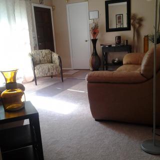 A cozy living room with a sofa, chair, and decorative elements.