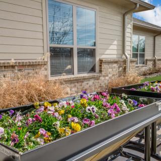 A raised garden bed filled with colorful flowers in front of a building.
