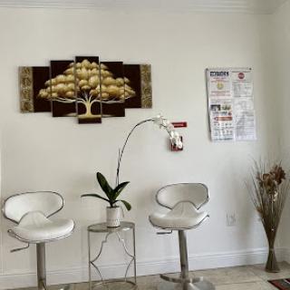 A modern waiting area featuring stylish chairs, a decorative wall piece, and a small plant.
