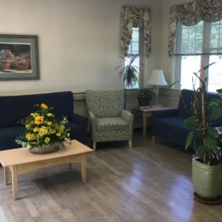 A cozy living room with sofas, a chair, a coffee table adorned with flowers, and decorative plants.