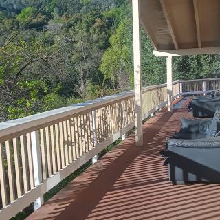 A sunny outdoor deck with wooden railings and patio furniture, overlooking lush green trees.