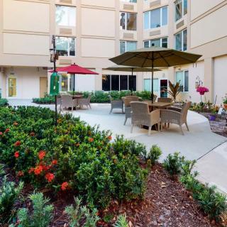 A serene courtyard with outdoor seating, colorful flowers, and large umbrellas.