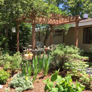A tranquil garden with a pergola and outdoor seating area surrounded by lush greenery.