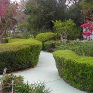 Bayshore Guest Home