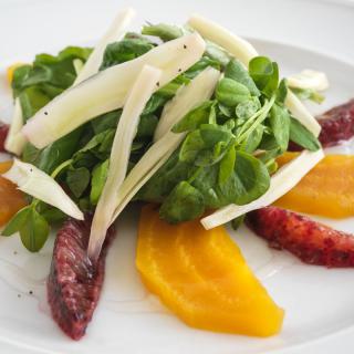 Gourmet salad with greens, beets, and cheese slices on a white plate.
