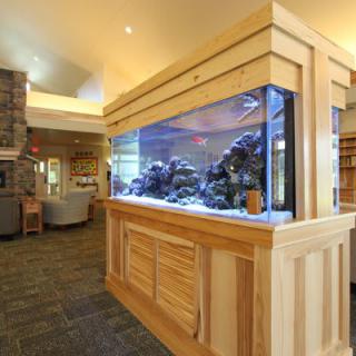 A modern living room featuring a large, built-in aquarium with wood paneling.