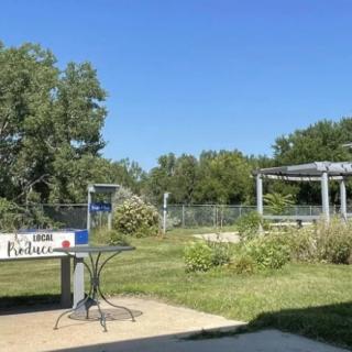 A sunny day in a park with tables and lush greenery.