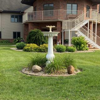 A well-maintained garden with a birdbath centerpiece in a residential backyard.