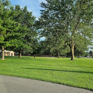 A serene park setting with lush green grass and tall trees under a clear blue sky.
